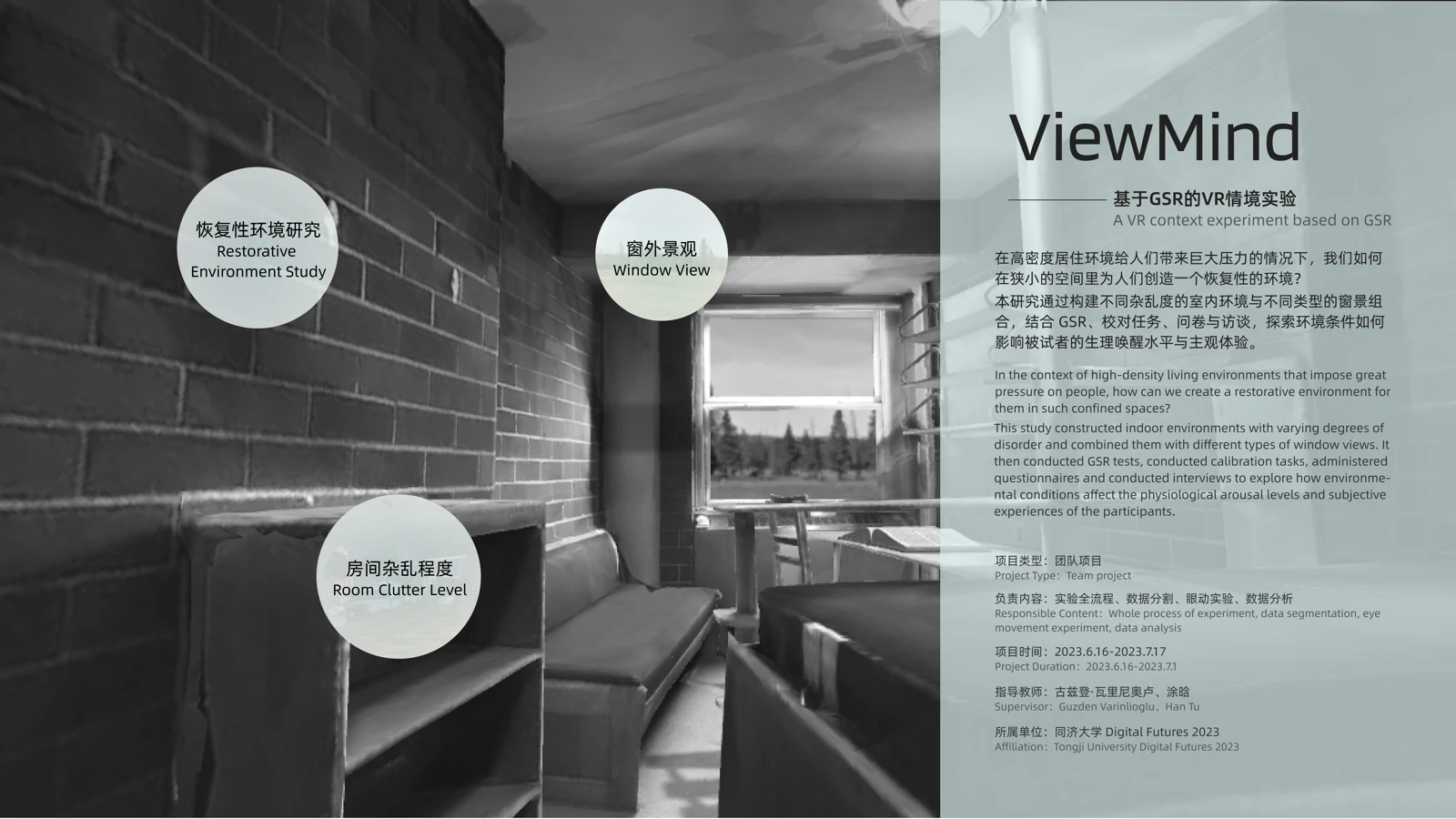 ViewMind 实验项目封面